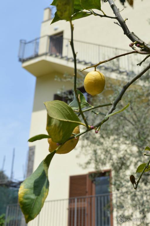 Il Rivolo Bed & Breakfast Sorrento Exterior photo